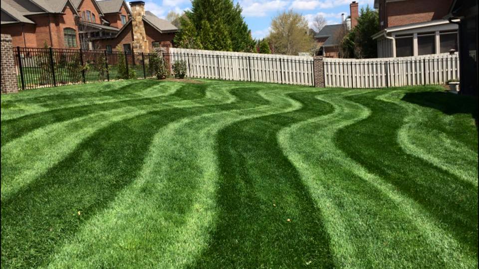 Mowing Mowing