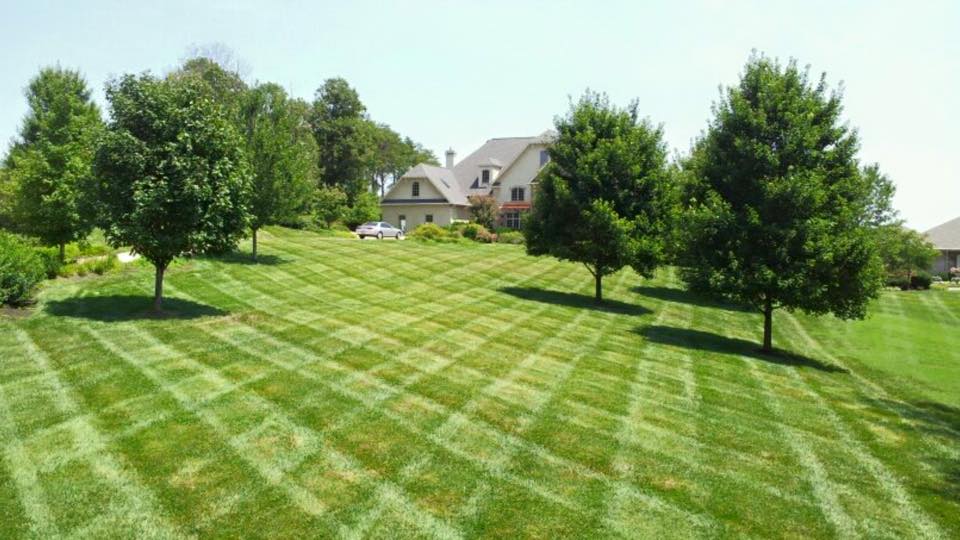 Full Lawn Service Full Lawn Service