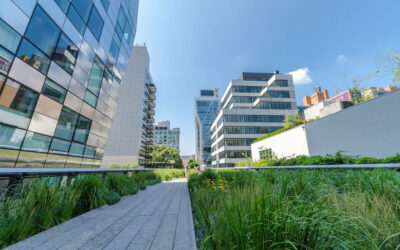 Adding Value to Residential and Commercial Properties