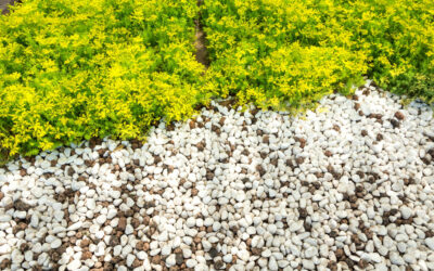 Decorative Rocks and Mulch – Ideas for Enhancing Your Landscape